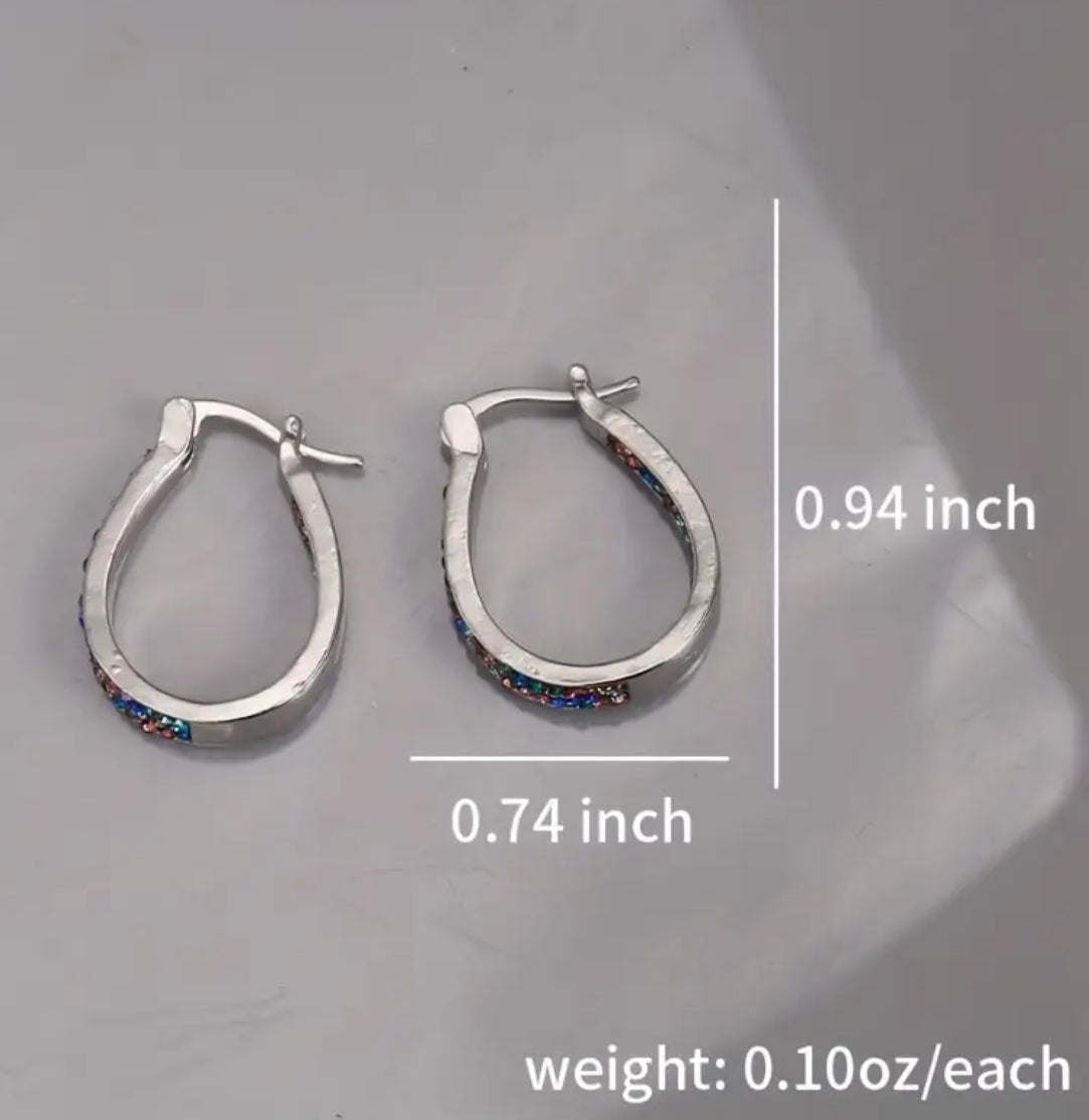 Elegant Luxury Zircon Horseshoe U-Shaped Earrings