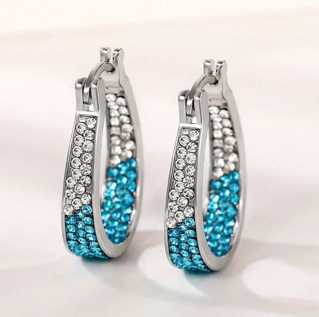 Elegant Luxury Zircon Horseshoe U-Shaped Earrings